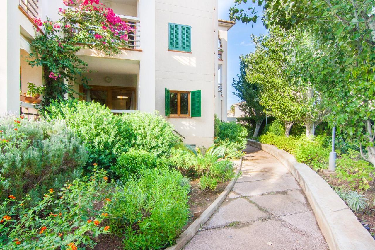Codonyer A Apartamento